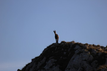 Mountain life travel