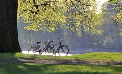 Fotobehang Fiets Two bicycle silhouette in a park. Summer landscape.  © zeedevil