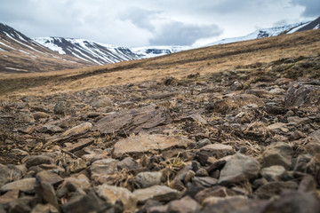 In The Mountains