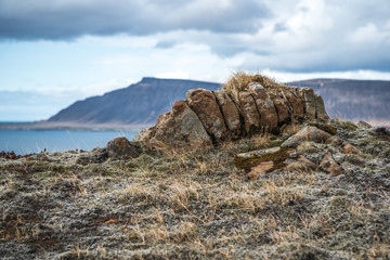 Rocky coast of the ocean