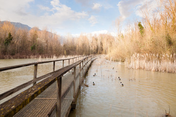 Old wood footbridge on lagoon, rural landscape