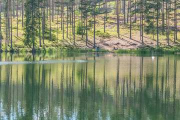 Obraz premium sky and tree reflection in secluded area by the lake. Calm waters and cloudy sky. fisherman in the background Sweden. selective focus. long exposure