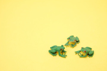 密に会議をする三匹の蛙