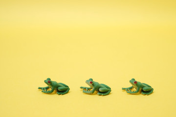 ソーシャル・ディスタンスを守るカエル