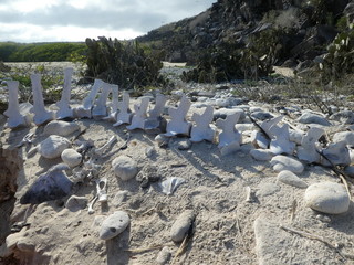 whale bones beach galapagos