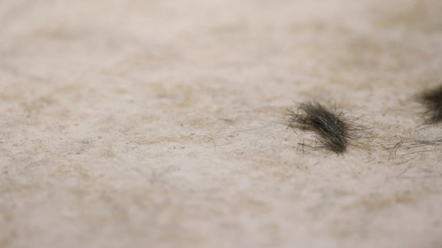 Cut Hair Falling On The Floor, Close-up On Dark Short Hair, 4K UHD