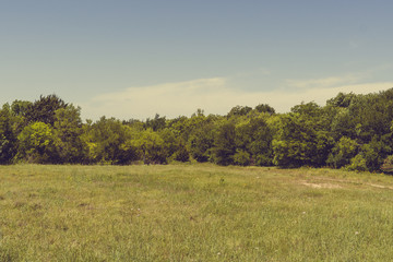 Fototapeta na wymiar Texas City Natural Park on a sunny spring day.