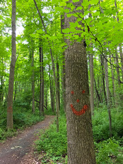 path or trail in a wooded forest with trail blazer spray painted orange into a smiley face