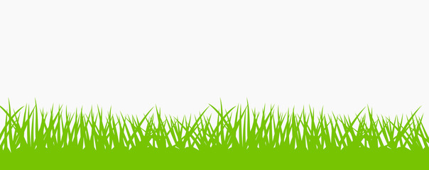 Vector illustration of lawn grass on light background.