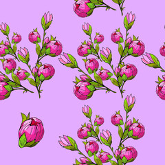 Seamless floral pattern on lilac background, pink flowers and buds