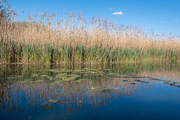 NEERACH, SWITZERLAND - APRIL 4, 2020: With an area of 105 hectares, the Neeracher Ried is one of the last large flat bogs in Switzerland. 