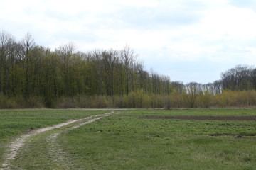 The landscape of green field