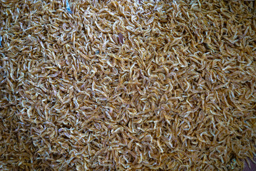 Dried fish meat cut for sale in the market