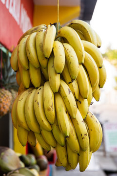 Hanging bunch of bananas.