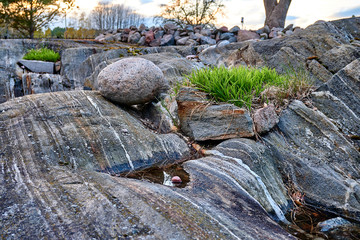 Fototapeta premium Memorial grove with a beautiful sunset in Värmdö