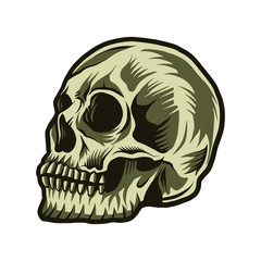 skull illustration vector design isolated on white background side view