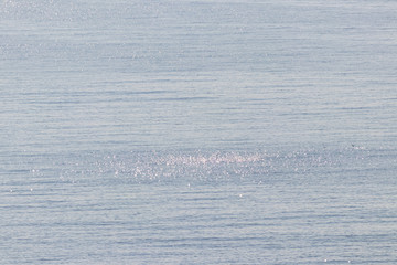 Fototapeta premium ナブラ