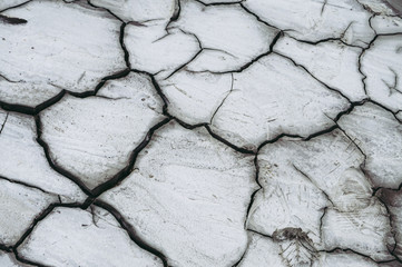 Draught, dry soil - global warming concept