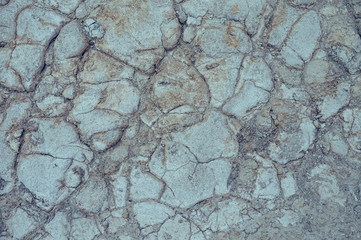 Draught, dry soil - global warming concept