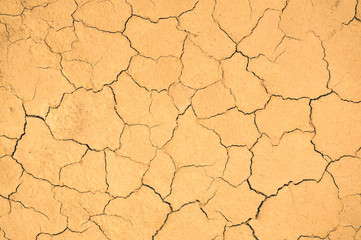 Draught, dry soil - global warming concept