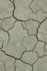 Draught, dry soil - global warming concept