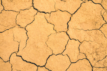 Draught, dry soil - global warming concept