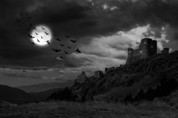 mystic castle view on moonlight