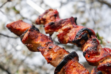 Juicy roasted shashlik (meat kebab) grill with tomato sauce ketchup, spring barbeque picnic. Yammy food close-up outdoors