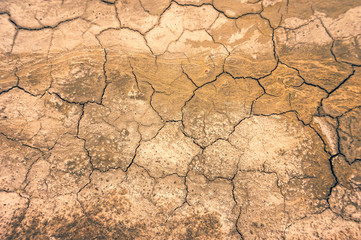 Draught, dry soil - global warming concept