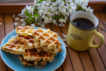 Plate with Belgian waffles with homemade cottage cheese and a cup of coffee standing on a wooden table decorated with a flowering cherry branch
Breakfast for the whole family