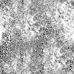 Grunge texture in black and white. Texture of dirt, chips, scuffs, dust, cracks. Dirty abstract background