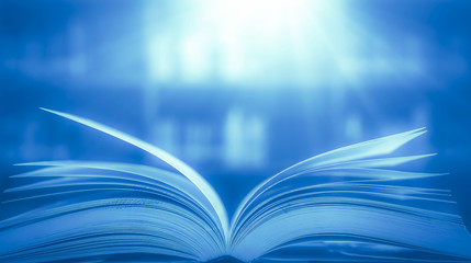 The concept of education by planting a tree of knowledge in the opening of an old book in the...