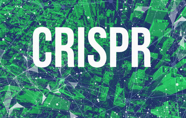 Crispr theme with abstract network patterns and Manhattan NY skyscrapers