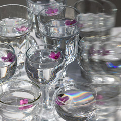 Top view of transparent glasses and wineglasses with water and purple small flowers inside, selective focus. Sun light. 