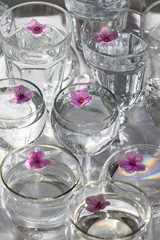 Top view of transparent glasses and wineglasses with water and purple small flowers inside, selective focus. Sun light. 