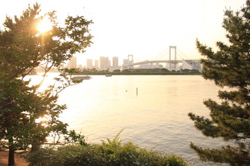 お台場　夕景
