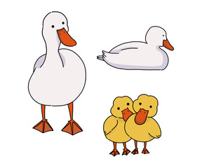 Cartoon Illustration of Duck family with duck chicks.