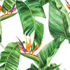 Keuken foto achterwand Tropische bloemen Naadloze patroon met tropische bladeren, strelitzia op een afgelegen witte achtergrond, aquarel jungle, botanische tekening.