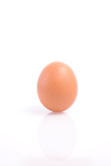 Close-up of standing chicken egg