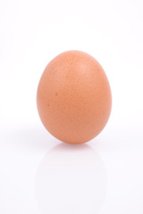 Close-up of standing chicken egg