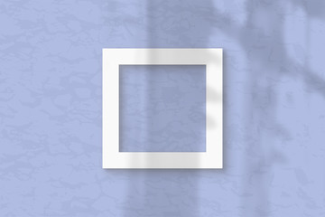 A square sheet of white textured paper on a blue wall background. Layout with an overlay of plant shadows Natural light casts shadows from the window. Flat lay, top view