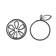 hand drawn doodle orange lime fruit illustration cartoon vector