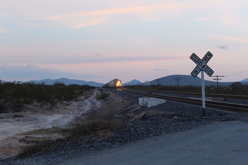 Train in the potosino altiplano