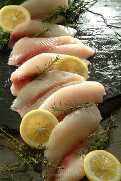 Filetes de Tilapia fresca