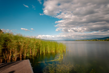 Reed cane and impressive sky in the lake.