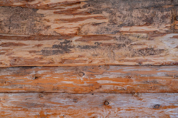 Light brown surface of old knotted wood with natural color, texture and pattern. wood texture background. Wooden desk table or floor
