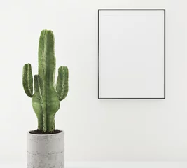 Gordijnen mock-up frame met cactusplant © izhar