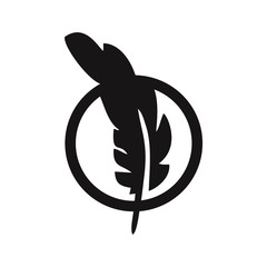 vector illustration of a feather, reed vector