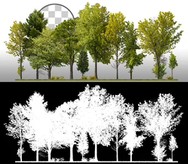 Deurstickers Cutout tree line. Forest and green foliage in summer. Row of trees and shrubs isolated on transparent background via an alpha channel. Forest scape. High quality clipping mask . © Kimo