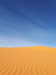 sand dunes in the desert